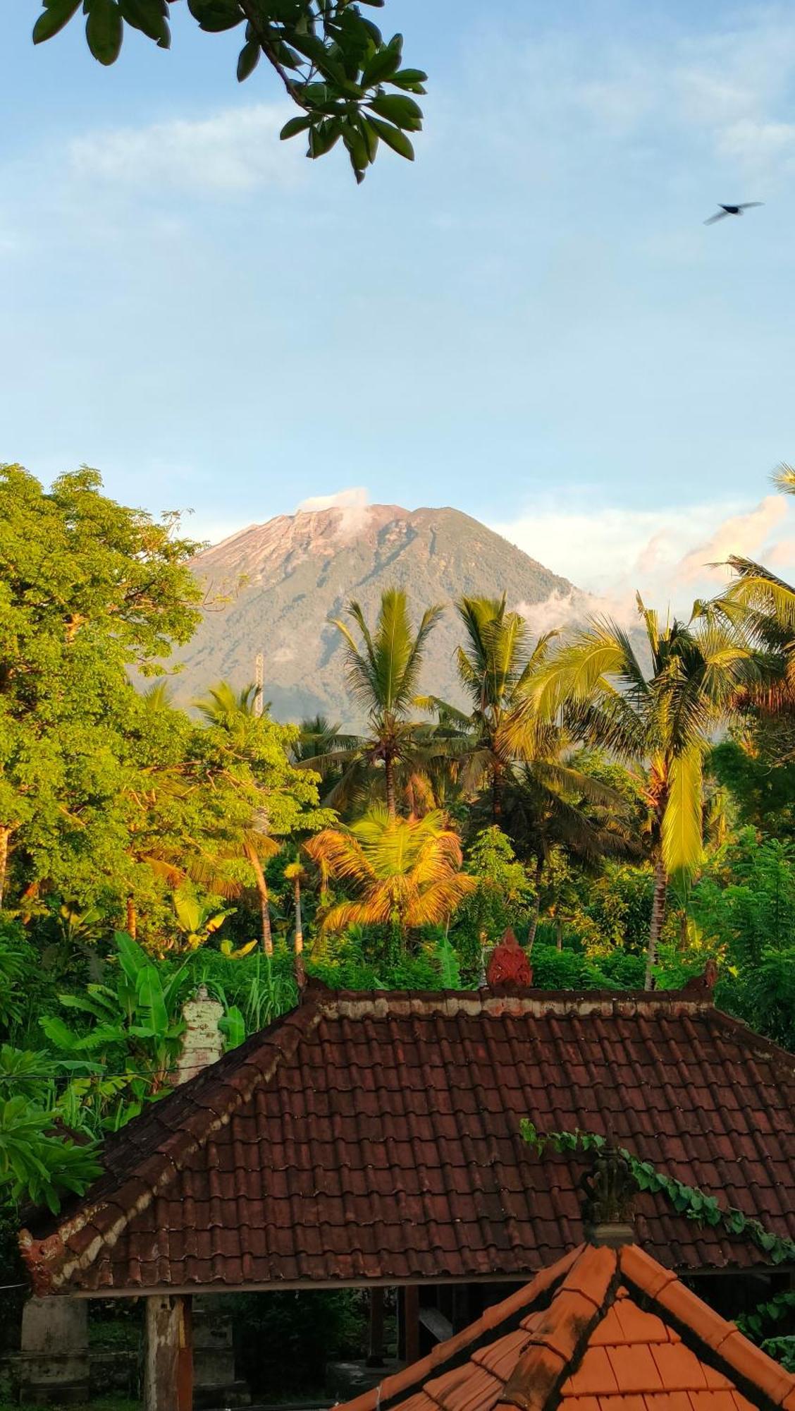 Homestay Puri Abian Ari *