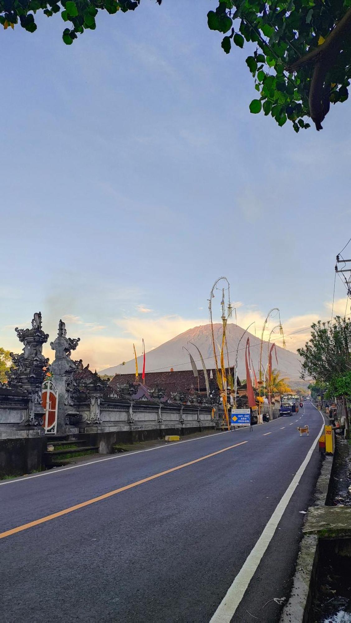 Puri Abian Ari Homestay *